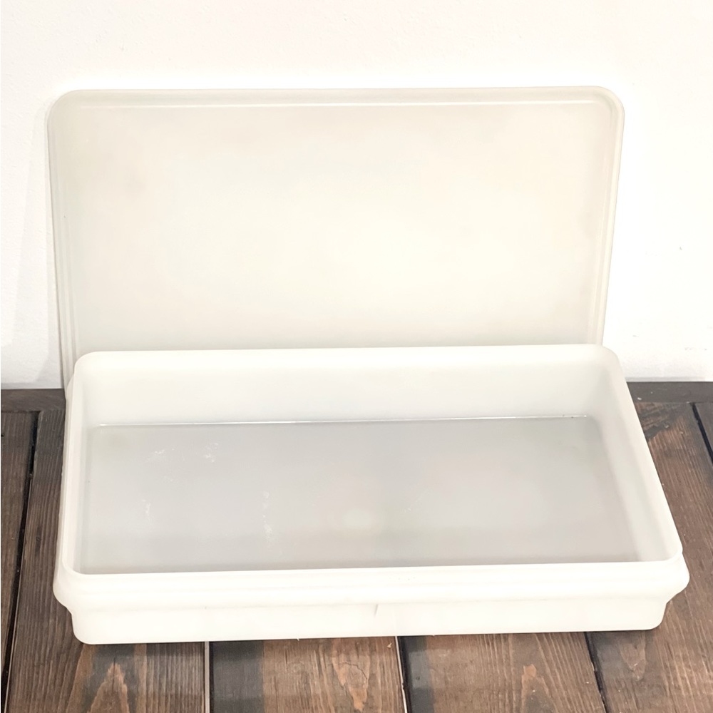 Clear Tupperware Bacon Container / Keeper